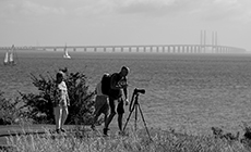 Fototur til Dragør